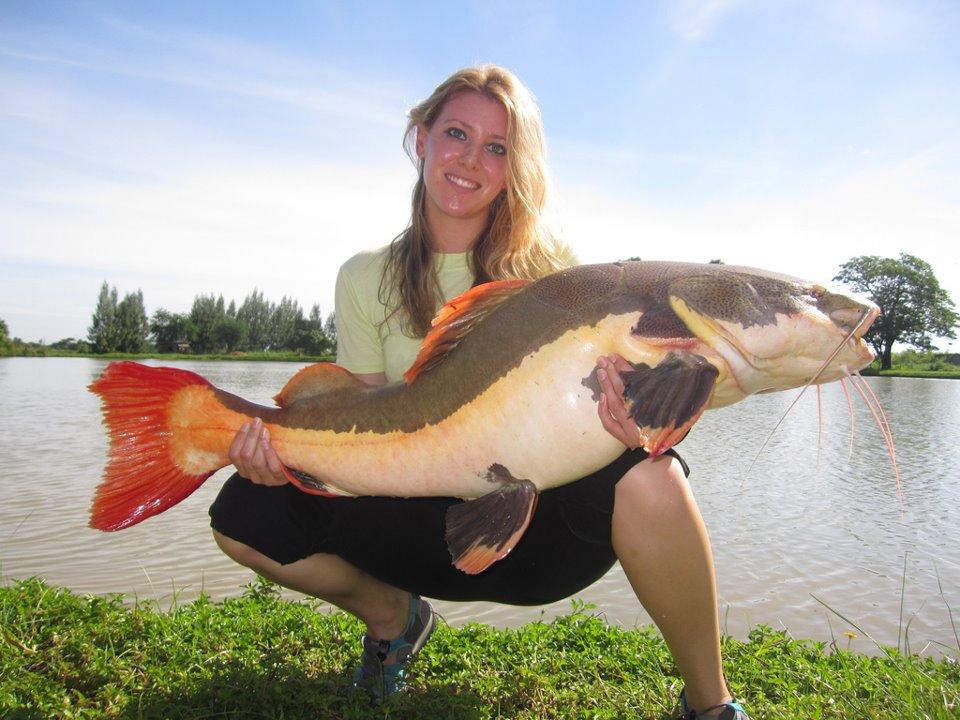 buza stufului.... :) - 2836232674960400308071456257339n.jpg